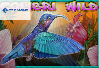 Colibri Wild